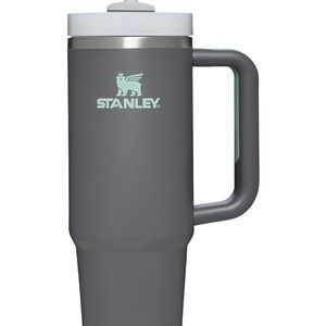 grey 30 oz stanley tumblr.